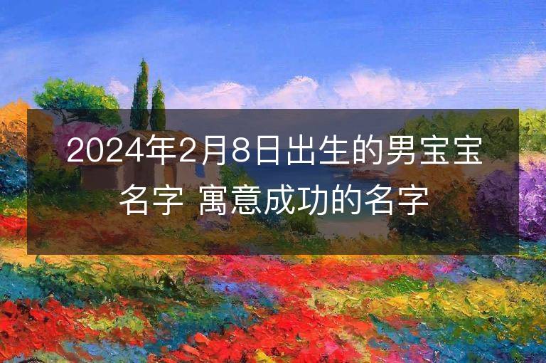 2024年2月8日出生的男宝宝名字 寓意成功的名字