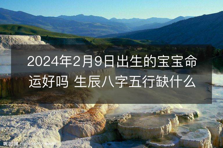 2024年2月9日出生的宝宝命运好吗 生辰八字五行缺什么