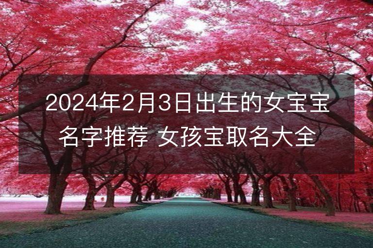 2024年2月3日出生的女宝宝名字推荐 女孩宝取名大全