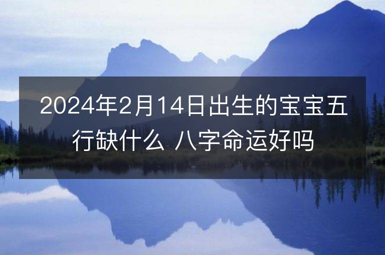 2024年2月14日出生的宝宝五行缺什么 八字命运好吗