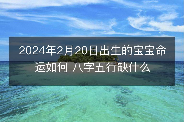 2024年2月20日出生的宝宝命运如何 八字五行缺什么