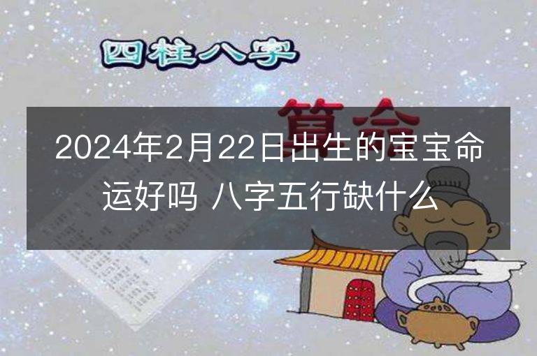 2024年2月22日出生的宝宝命运好吗 八字五行缺什么