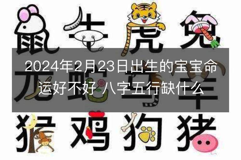 2024年2月23日出生的宝宝命运好不好 八字五行缺什么