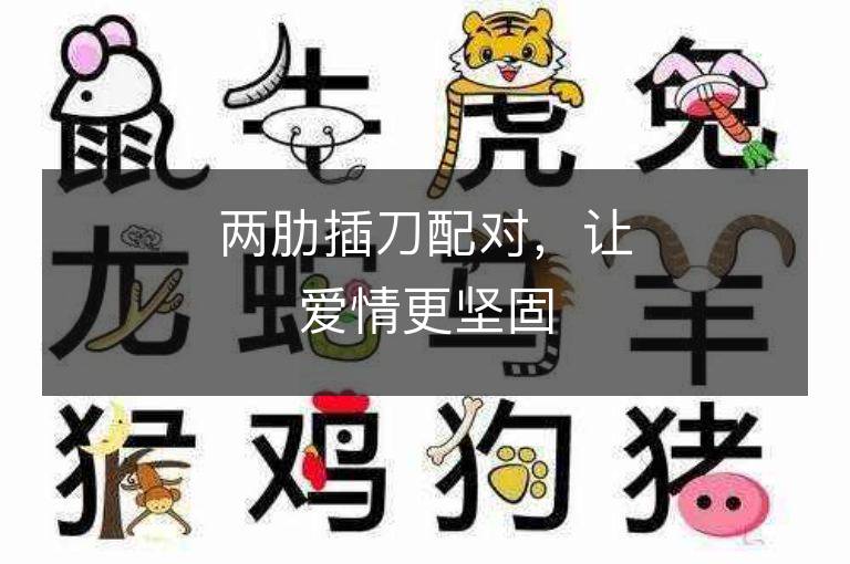 两肋插刀配对，让爱情更坚固