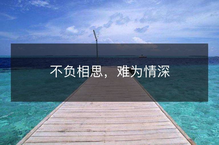 不负相思，难为情深