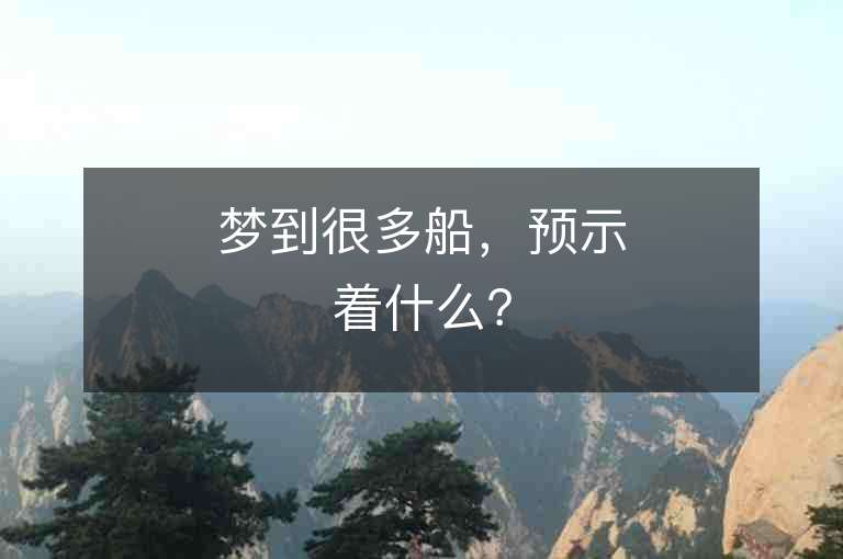 梦到很多船，预示着什么？