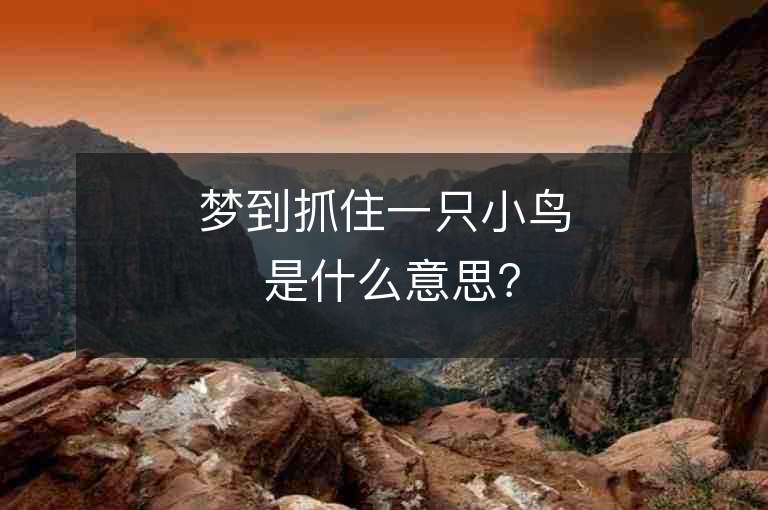 梦到抓住一只小鸟 是什么意思？