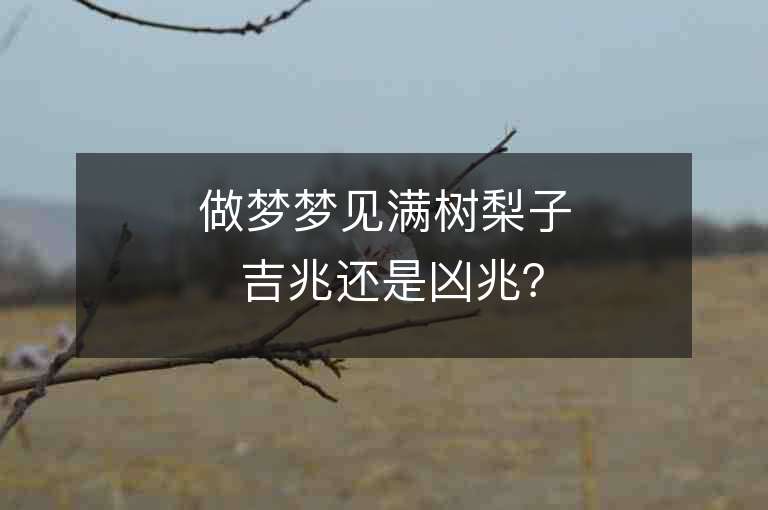 做梦梦见满树梨子 吉兆还是凶兆？