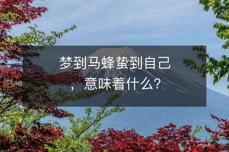 梦到马蜂蛰到自己，意味着什么？