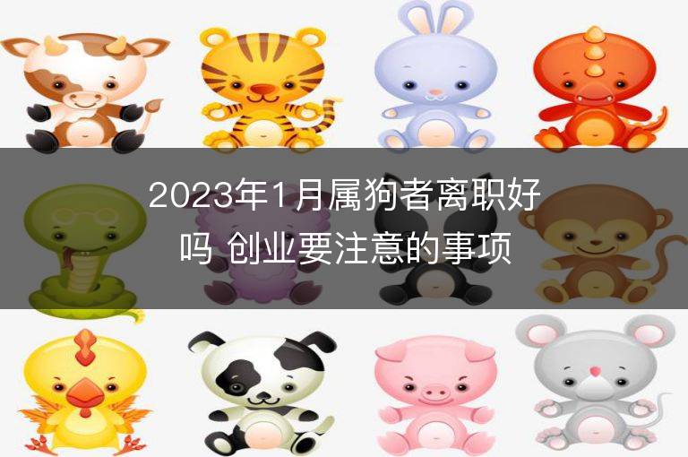 2023年1月属狗者离职好吗 创业要注意的事项