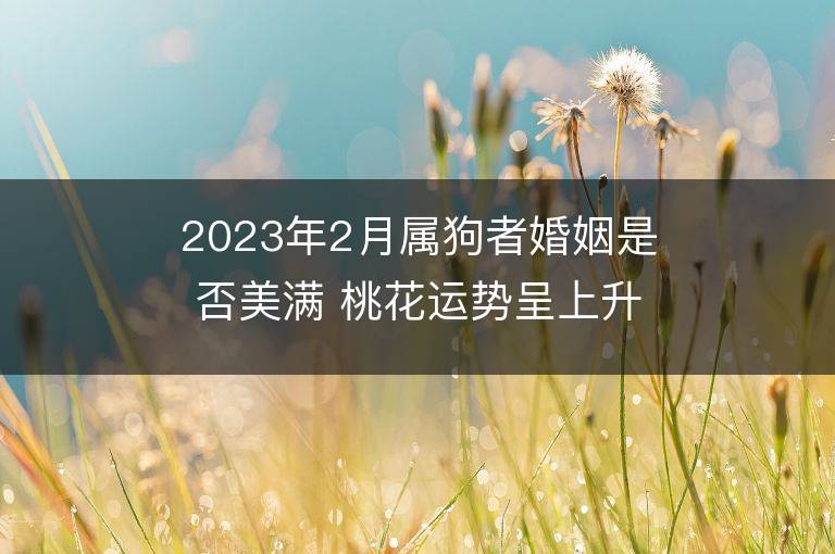 2023年2月属狗者婚姻是否美满 桃花运势呈上升趋势吗