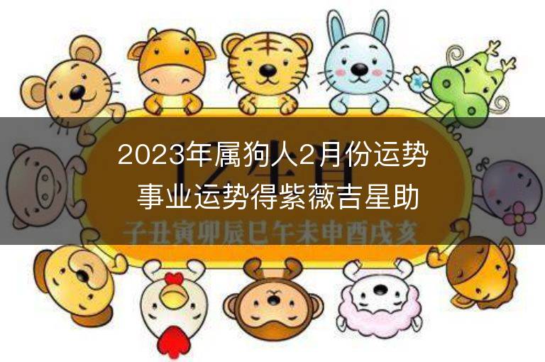 2023年属狗人2月份运势 事业运势得紫薇吉星助力