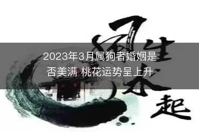 2023年3月属狗者婚姻是否美满 桃花运势呈上升趋势吗