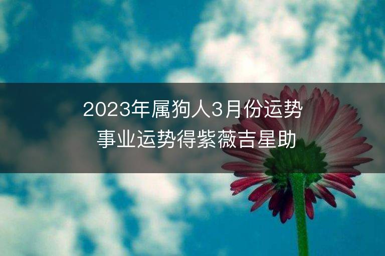 2023年属狗人3月份运势 事业运势得紫薇吉星助力