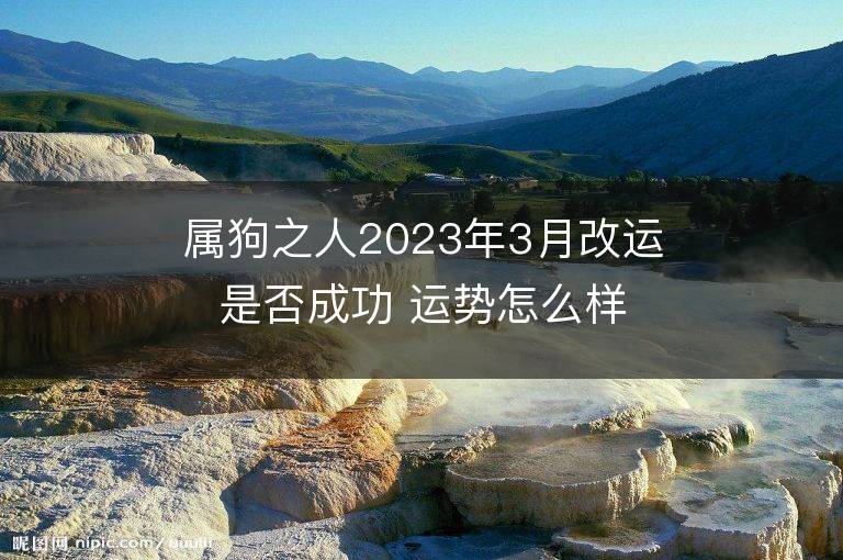 属狗之人2023年3月改运是否成功 运势怎么样