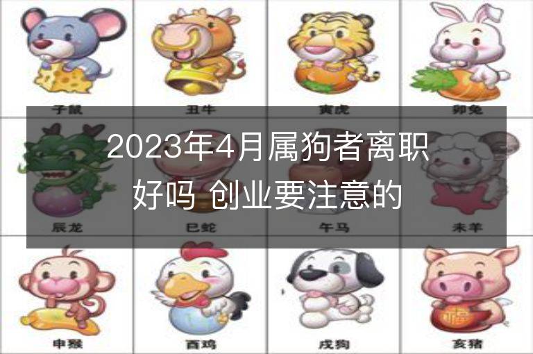 2023年4月属狗者离职好吗 创业要注意的事项