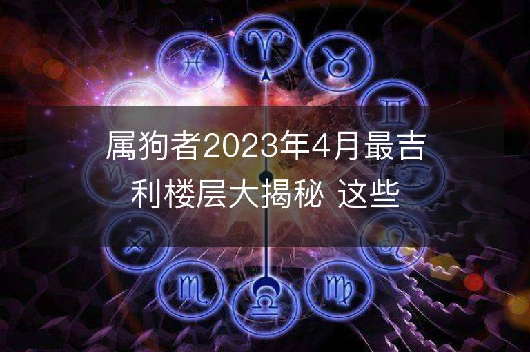 属狗者2023年4月最吉利楼层大揭秘 这些楼层可改运