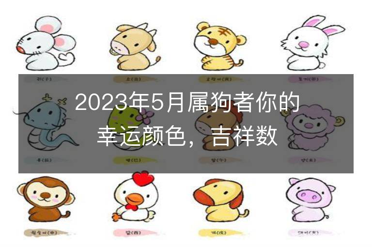 2023年5月属狗者你的幸运颜色，吉祥数字，一查便知！