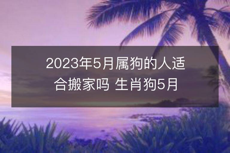 2023年5月属狗的人适合搬家吗 生肖狗5月搬迁好不好