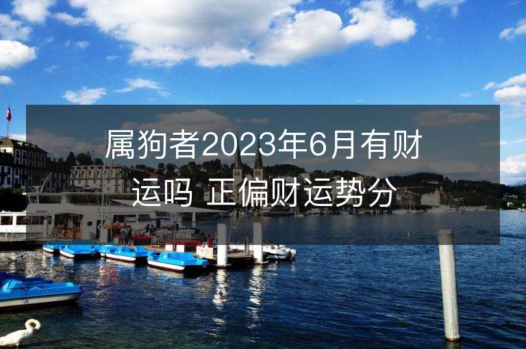 属狗者2023年6月有财运吗 正偏财运势分析