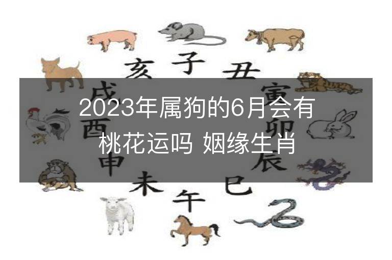 2023年属狗的6月会有桃花运吗 姻缘生肖是谁