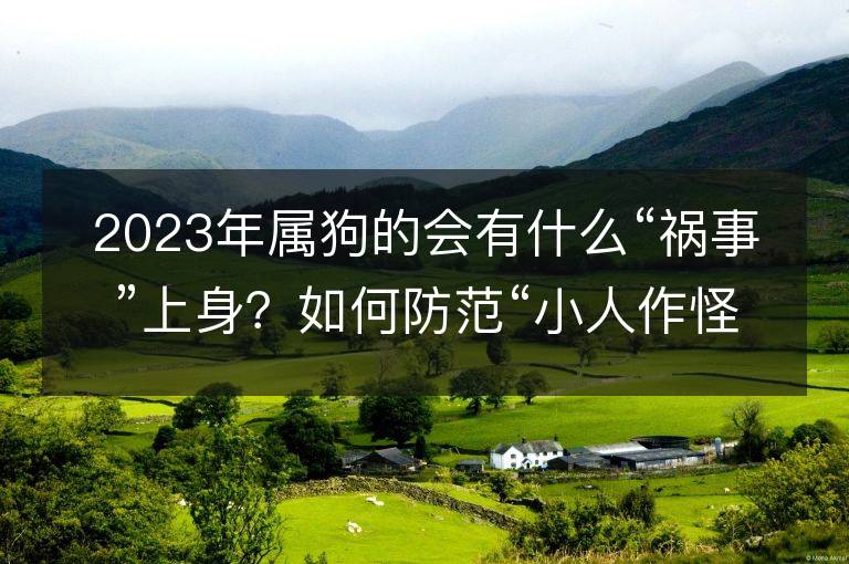 2023年属狗的会有什么“祸事”上身？如何防范“小人作怪”？