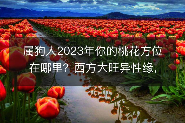 属狗人2023年你的桃花方位在哪里？西方大旺异性缘，你准备好了吗？