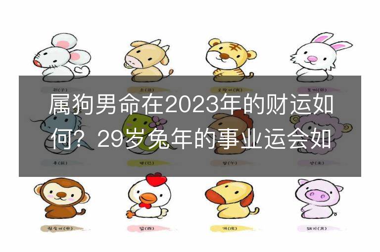 属狗男命在2023年的财运如何？29岁兔年的事业运会如何？