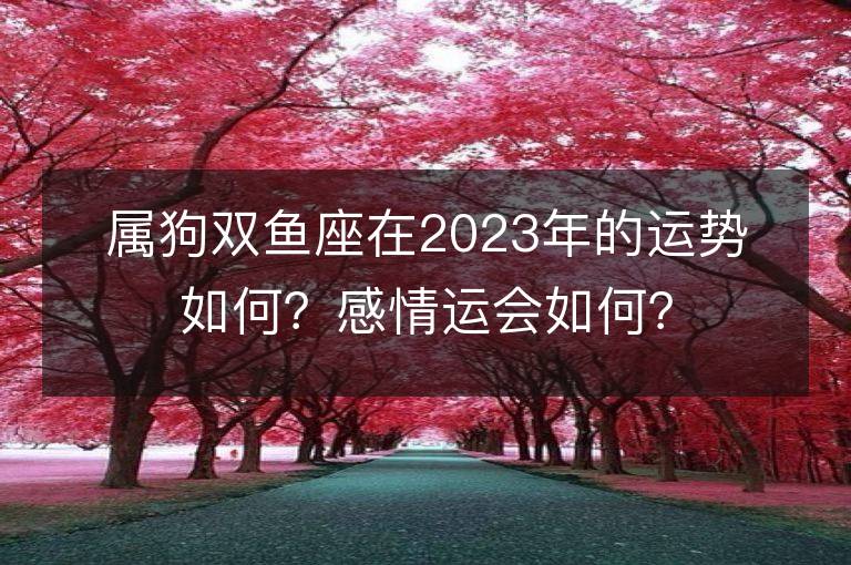 属狗双鱼座在2023年的运势如何？感情运会如何？