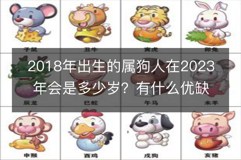 2018年出生的属狗人在2023年会是多少岁？有什么优缺点？