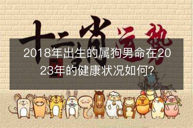 2018年出生的属狗男命在2023年的健康状况如何？