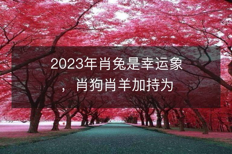 2023年肖兔是幸运象，肖狗肖羊加持为助运头像