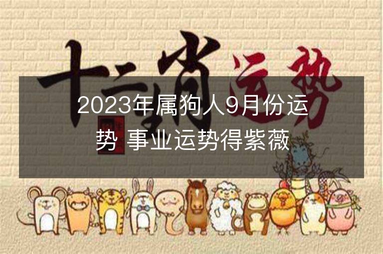 2023年属狗人9月份运势 事业运势得紫薇吉星助力