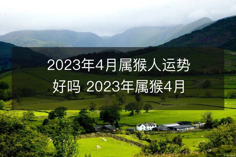 2023年4月属猴人运势好吗 2023年属猴4月运程如何