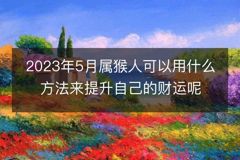 2023年5月属猴人可以用什么方法来提升自己的财运呢