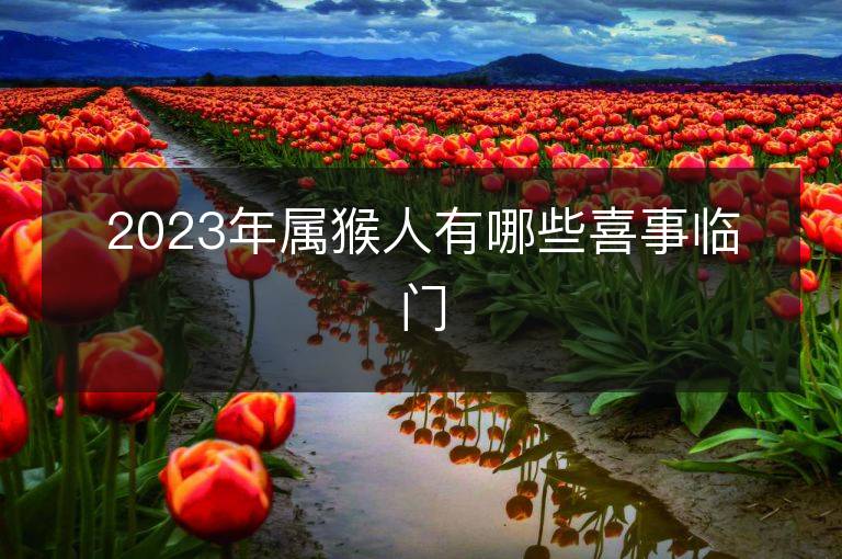 2023年属猴人有哪些喜事临门