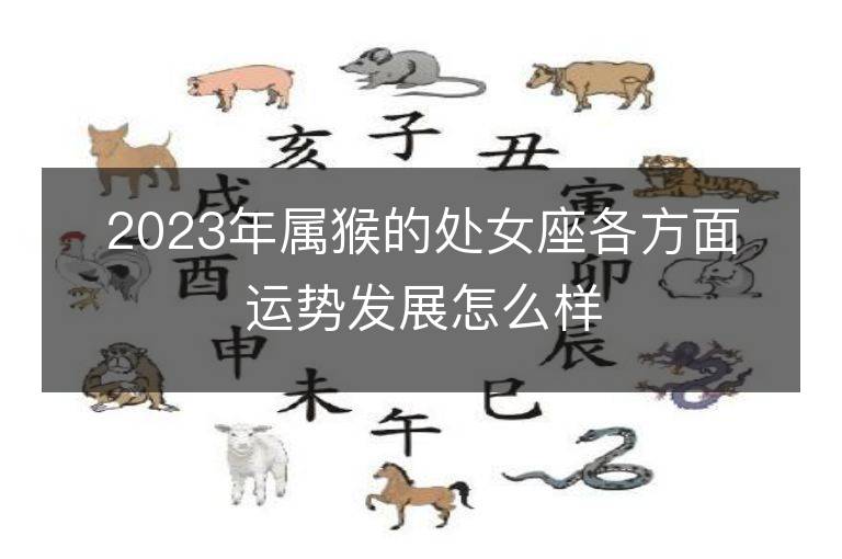 2023年属猴的处女座各方面运势发展怎么样