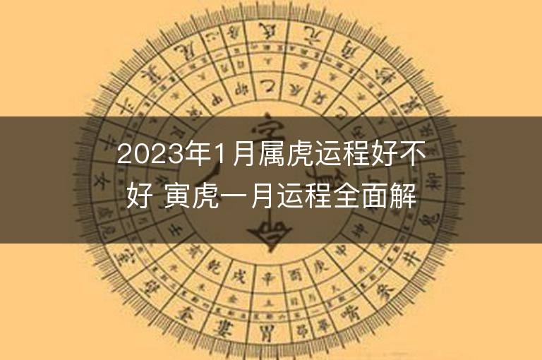 2023年1月属虎运程好不好 寅虎一月运程全面解说