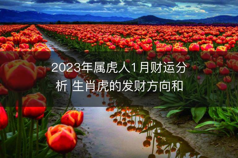 2023年属虎人1月财运分析 生肖虎的发财方向和贵人