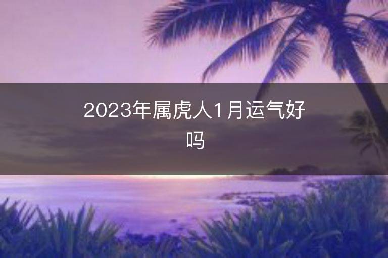 2023年属虎人1月运气好吗