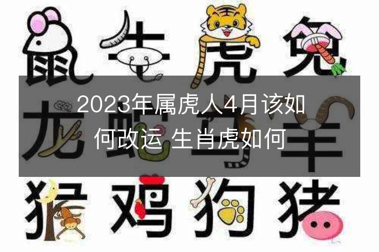 2023年属虎人4月该如何改运 生肖虎如何提升运势