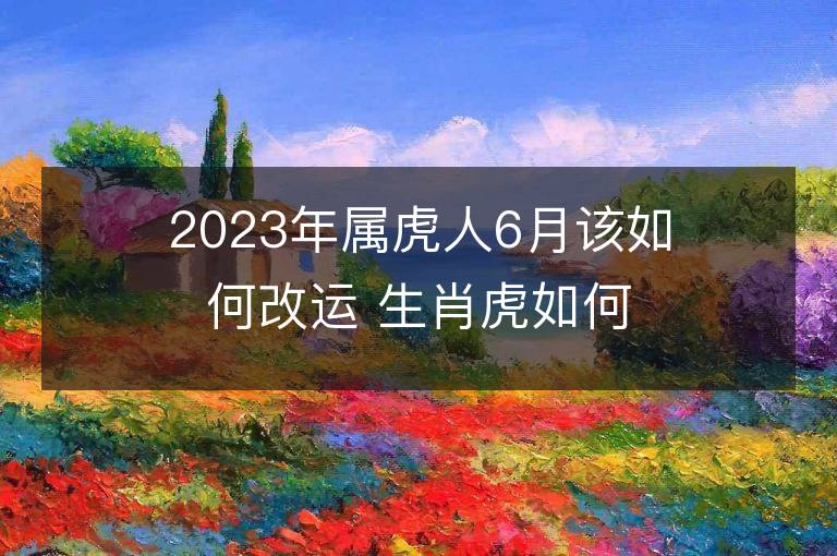 2023年属虎人6月该如何改运 生肖虎如何提升运势