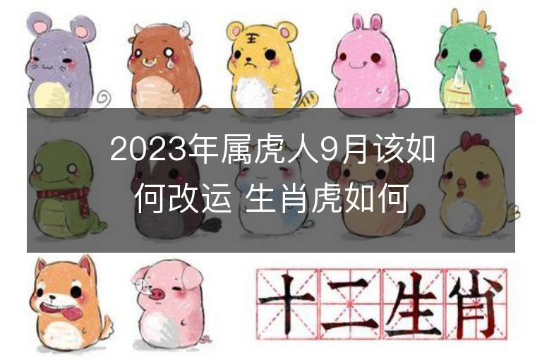 2023年属虎人9月该如何改运 生肖虎如何提升运势