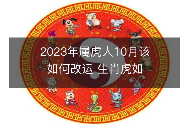 2023年属虎人10月该如何改运 生肖虎如何提升运势