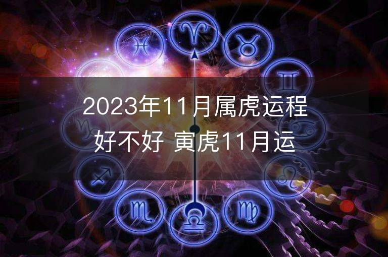 2023年11月属虎运程好不好 寅虎11月运程全面解说