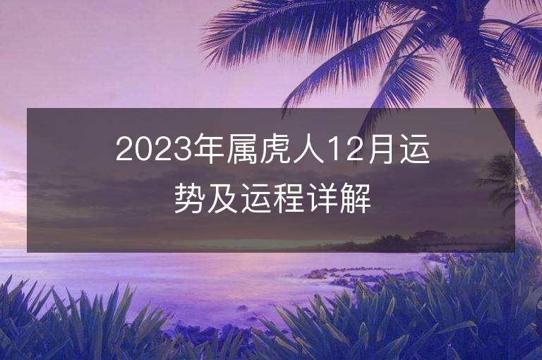 2023年属虎人12月运势及运程详解