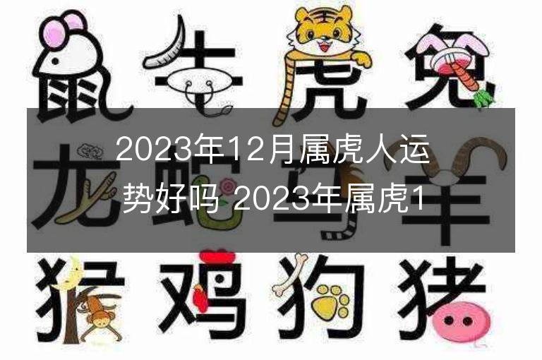 2023年12月属虎人运势好吗 2023年属虎12月运程如何