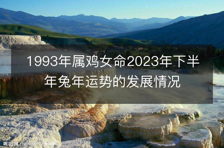 1993年属鸡女命2023年下半年兔年运势的发展情况