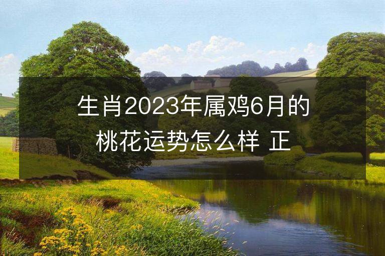 生肖2023年属鸡6月的桃花运势怎么样 正桃花多还是烂桃花多