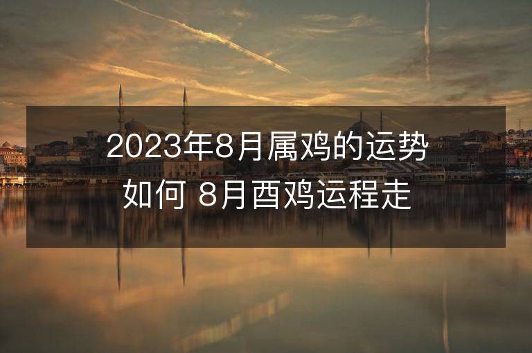 2023年8月属鸡的运势如何 8月酉鸡运程走向